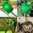 thumbnail image 6 of Plant Rooting Ball Propagation Root Box Reusable Plant Root Breeding Ball Garden Cuttings Grafting High Pressure Propagation Pot, 6 of 9