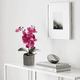 thumbnail image 4 of "Arreglo Orquídeas Artificiales Decoración 43 Cm Malubero, Violeta ", 4 of 5