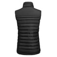 thumbnail image 2 of James Harvest Womens Arches Padded Bust Gilet, 2 of 4