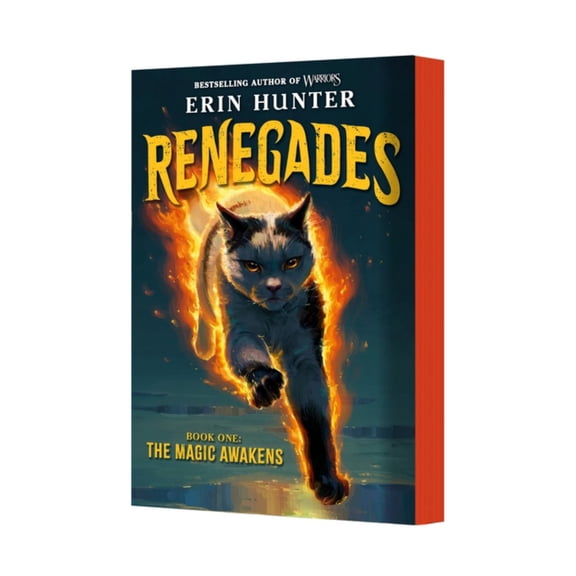 Renegades #1: the Magic Awakens (Paperback)