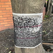 PIC Spotted Lantern Fly Insect Trap 20 ft