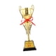 thumbnail image 3 of Trofeo Copa Campeonato de Fútbol Trofeo Recuerdo Recompensa Premio Competiciones Premio Estilo B, 3 of 9