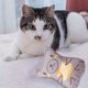 thumbnail image 5 of Juguetes de hierba gatera para gatos de interior: juguetes de peluche para masticar, interactivos para la dentición, rellenos de hierba gatera, juguete suave para mascotas., 5 of 7