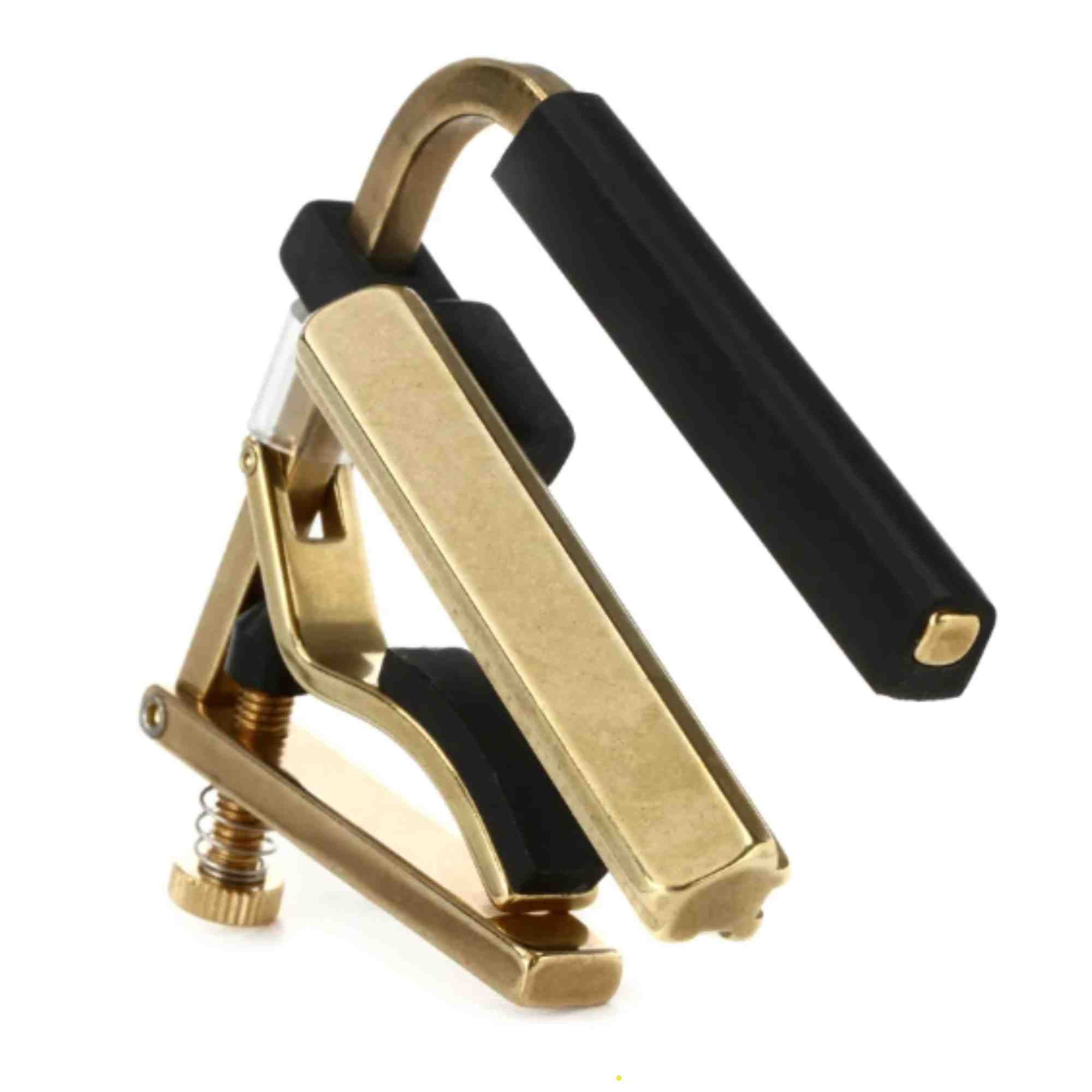 SHUBB DOBRO CAPO