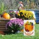thumbnail image 5 of Bandera Del Jardín de Otoño, Calabaza Vertical de Doble Lado de Otoño Juegos de Bienvenida Bandera 45x30cm para Patio Acción de Gracias Decoración de Vacaciones, Decoraciones Al Aire Libre de Otoño, 5 of 6