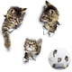 thumbnail image 3 of Pegatinas de pared Pegatinas de pared Calcomanías de pared de gatos 3d Pegatinas de baño combinadas Pegatinas de nevera impermeables Pegatinas de puerta Decoración de pared de cocina Namotu MZQ-0648, 3 of 7