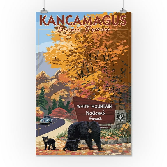 White Mountain National Forest, New Hampshire, Kancamagus Scenic Byway