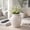 White, variant on Decorative Terracotta Vase with Handles for Living Room Decor - Home Decor Accents for Bedroom, Entryway Table, and Office - Casual Flower Vase for Shelf or House Display - 10", White