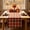 Multicolor A, variant on ShengapQ Fall Plaid Table Runner, Polyester Table Decor, Thanksgiving Dining Table Decoration, Durable and Easy Care for Home, Festive Table Accessory, 72×13in