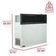 thumbnail image 4 of 25,000 BTU DV Duel Fuel Wall Heater, 4 of 7