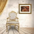 thumbnail image 3 of Paulson, Don 24x17 Gold Ornate Wood Framed with Double Matting Museum Art Print Titled - Oregon, Portland Japanese maple in autumn color, 3 of 4