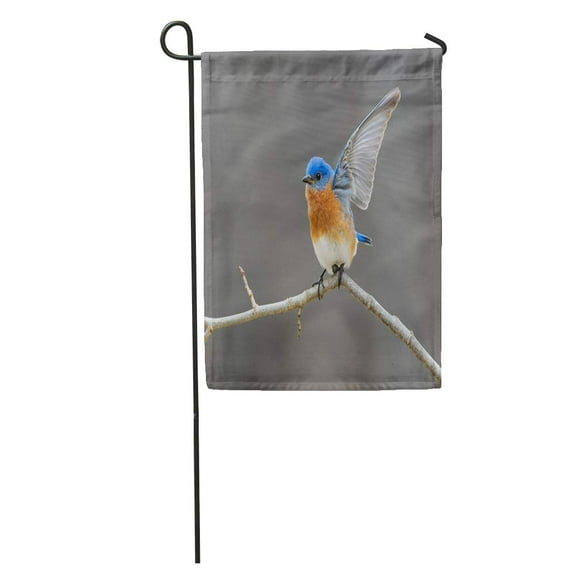 POGLIP Blue Male Eastern Bluebird Open Wings Perched on Twig Avian Bird Garden Flag Decorative Flag House Banner 28x40 inch
