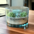 thumbnail image 2 of Succulent Scented Soy Wax Candle (Green), 2 of 3