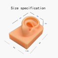 thumbnail image 2 of Freer Silicone Soft Ear Model Teaching Tool kit fake silicone Display Props White, 2 of 9