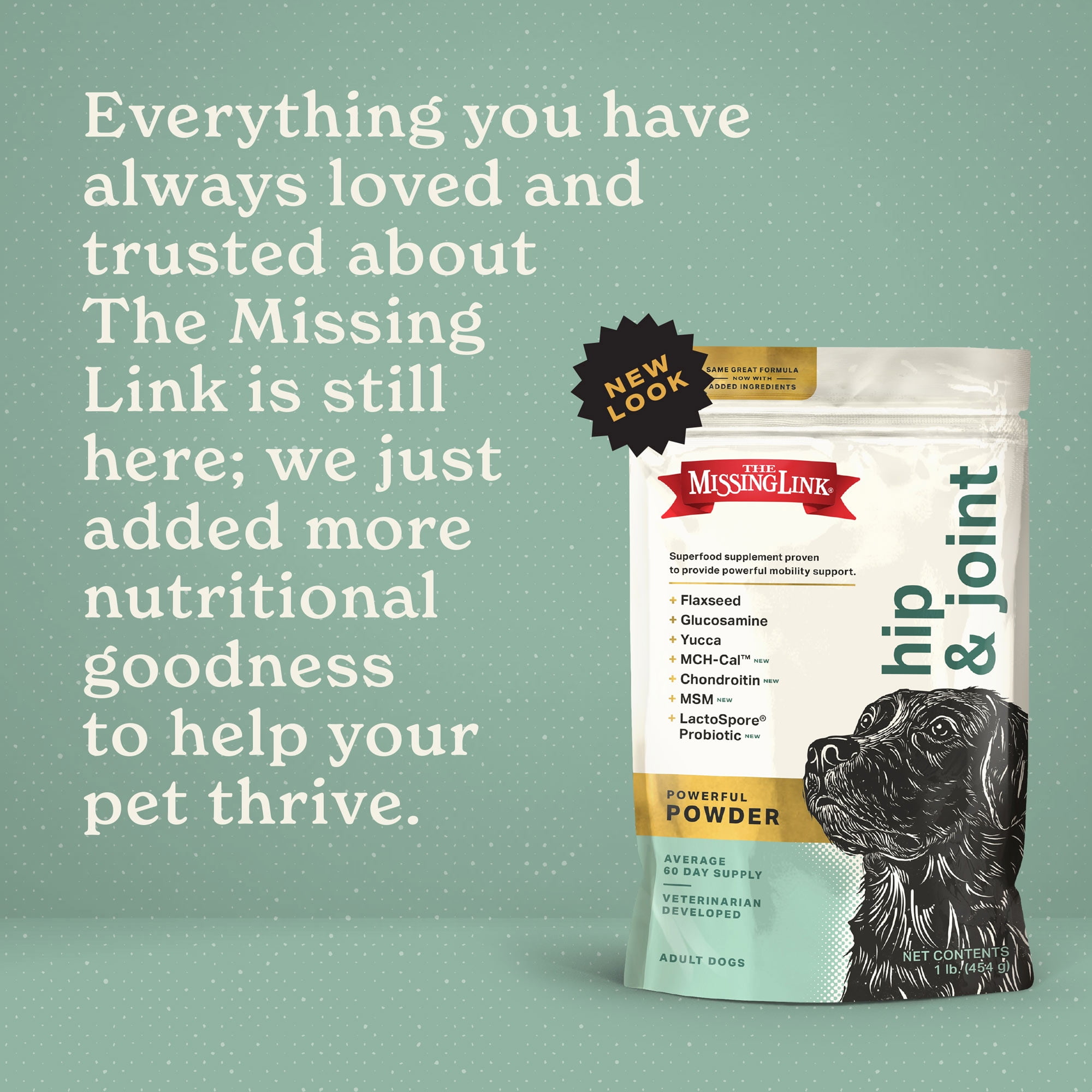 The Missing Link Superfood Powders Hips & Joints Dog Supplement 1 lb Bag