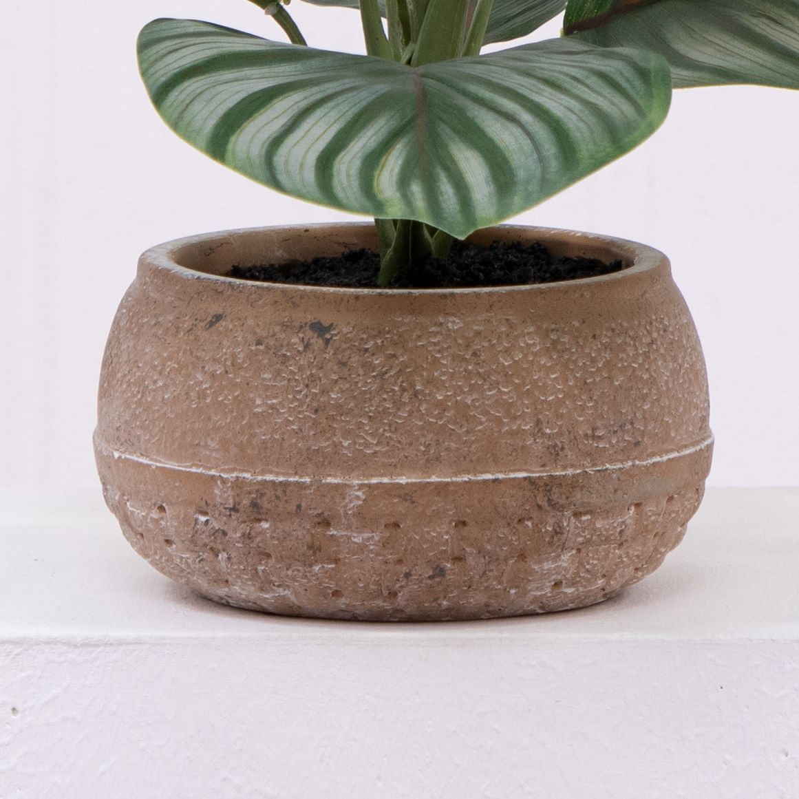 Better Homes & Gardens Artificial Indoor Calathea Plant in Stone Planter