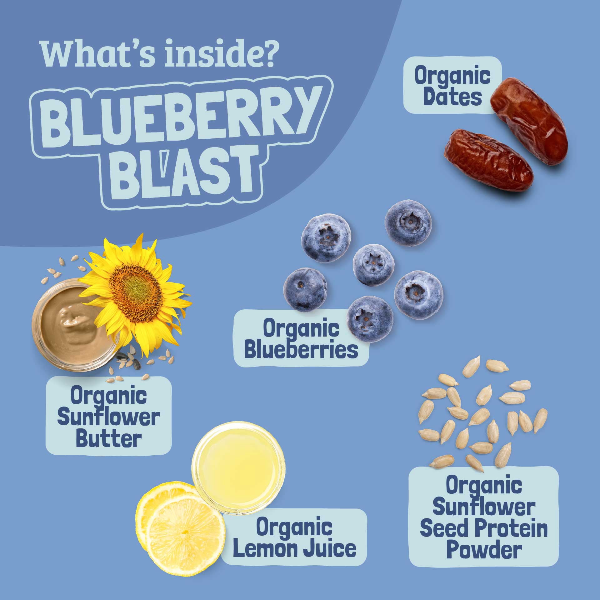 Skout Organic Blueberry Blast Real Kids Snack Bars (18 Pack) | Kids Snack Bars | No Refined Sugar | Vegan | Gluten, Dairy, Peanut, Tree Nut & Soy Free