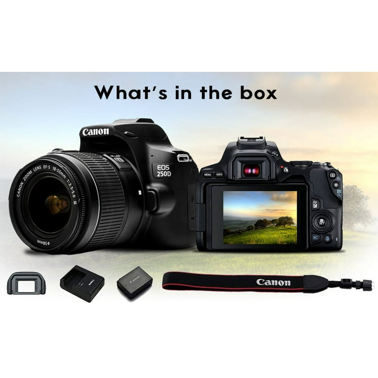 Canon 250D + 18-55mm f/3.5-5.6 III - 2 Year Warranty - Next Day Delivery