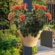 thumbnail image 3 of Macetas de plástico para interiores y exteriores, para balcones, bajantes, para plantar verduras, cestas verdes, jardineras grandes de pared, macetas pequeñas para hoteles., 3 of 4