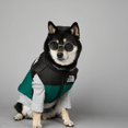 thumbnail image 1 of The Dog Face Vest, 1 of 14