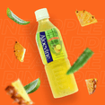 thumbnail image 3 of Aloevine Pineapple Aloe Vera Drink with Aloe Pulp, 16.9 fl oz, 10 Count Bottles, 3 of 8