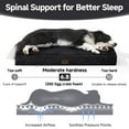 thumbnail image 3 of OhGeni Orthopedic Large Dog Bed, Deluxe Pet Bed for Crates, Waterproof and Washable, 25D Egg Crate Foam Pad, 35" x 22", Black, 3 of 8