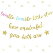 Funmemoir Twins 1st Birthday Decorations for Boys Girls - Twinkle Twinkle Little Star How Onderful You Both Are Banner, Glitter Twins First Birthday Banner for We Are One Birthday Decorations