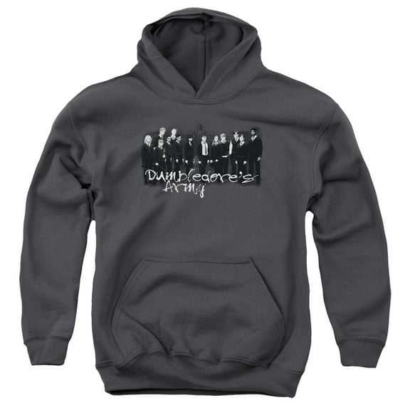 Harry Potter And The Order Of Phoenix Da Squad Youth Pullover Hoodie Sweatshirt Charcoal