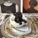 thumbnail image 2 of Huevos de Dragón Impresos en 3D, Juego de Manualidades para Decoración de Escritorio con Estatua de Dragón, un Regalo Único para Coleccionistas de Dragones Morados, 2 of 5