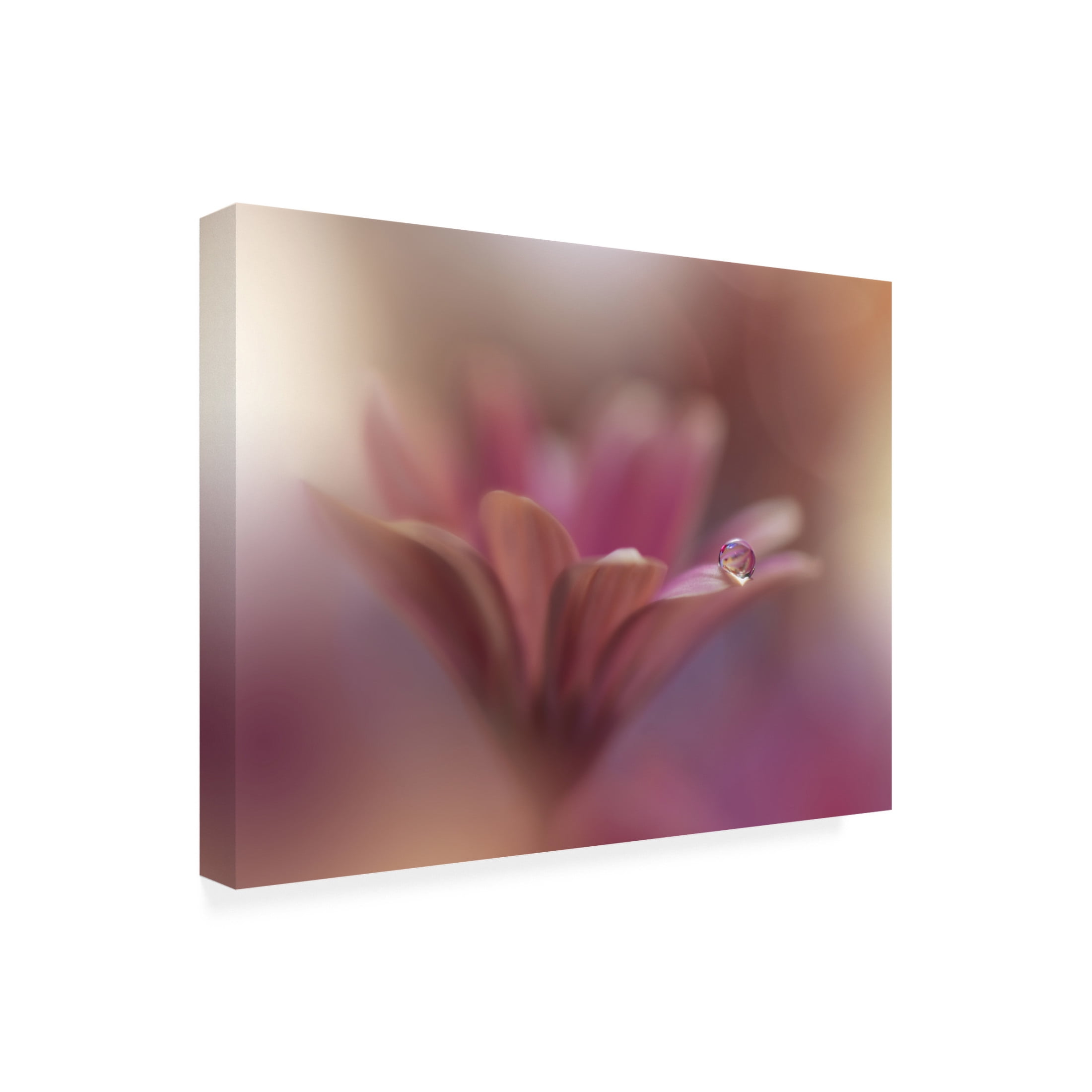 Trademark Fine Art Juliana Nan Pink Flowers Canvas Wall Art