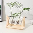 thumbnail image 4 of Desktop Hydroponics Glass Bulb Planter Vase with Wood Stand Versatile Table Decorative Vase for Home/Office, 4 of 5