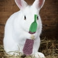 thumbnail image 5 of 6Pcs  Chinchilla Chewing Props Rabbit Nibbling Toy Rat Chew Toy Hamster Molar Plaything, 5 of 6