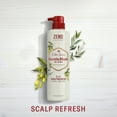 thumbnail image 5 of Old Spice Gentleman’s Blend with Tea Tree & Neem Oil, 2in1 Scalp Refresh Shampoo and Conditioner, 14.8 fl oz 440mL, 5 of 8