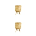 thumbnail image 1 of Monstrate Maceta ligera tejida a mano, soporte de , cesta de almacenamiento DIY, rústico interior, balcón, suelo, Patio, adornos de sarga S tipo sarga S 2Conjunto, 1 of 6