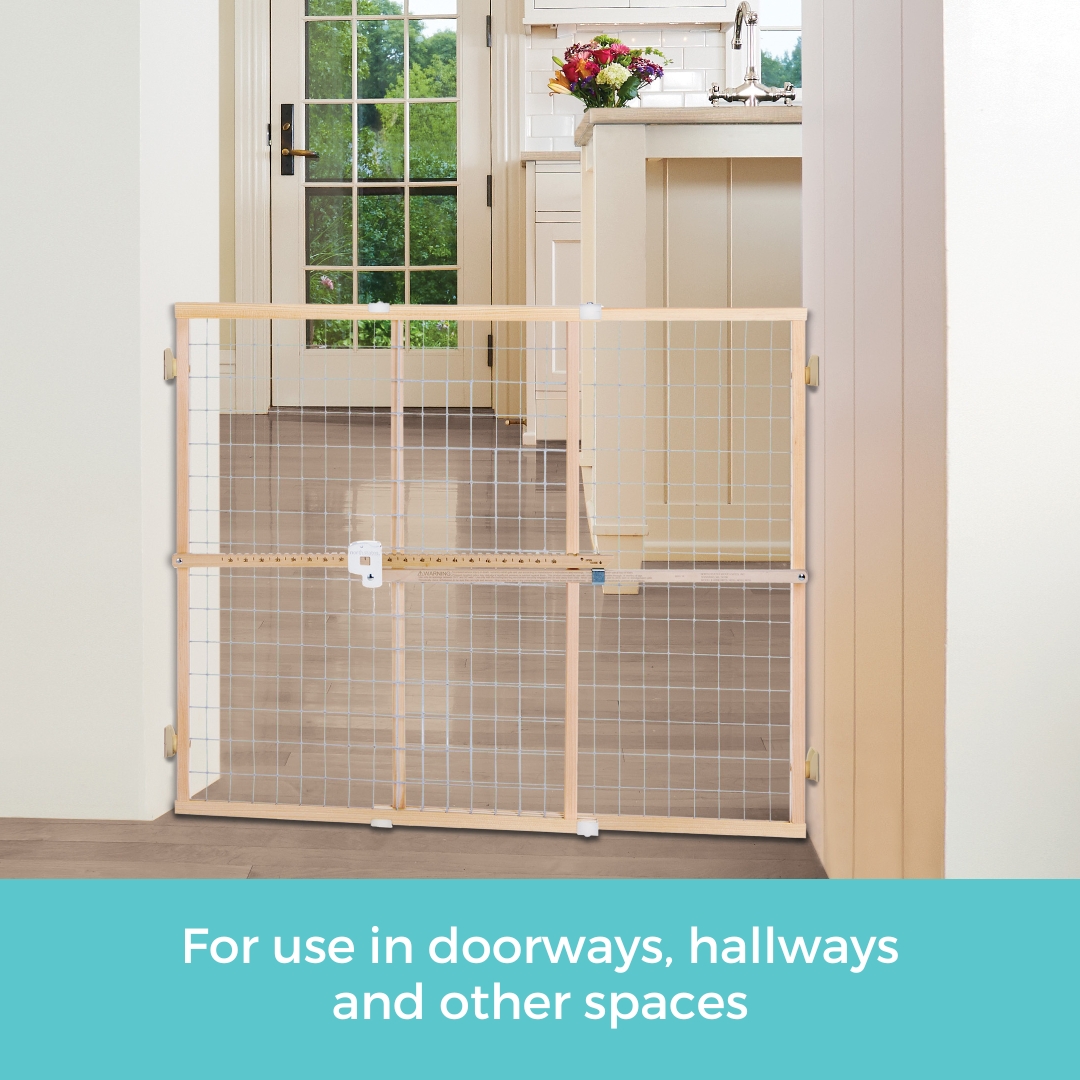 Toddleroo by North States Quick-Fit Wire Mesh Safety Gate photo 3