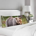 thumbnail image 2 of ABPHOTO Brown Bear Body Pillow Covers Pillowcase Throw Pillows 20x60 inch, 2 of 2