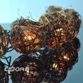 thumbnail image 5 of Autre, 5 of 5