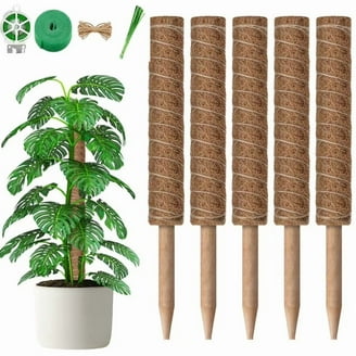 Mainstays Moss Pole Support Kit for Climbing Plants Extendable