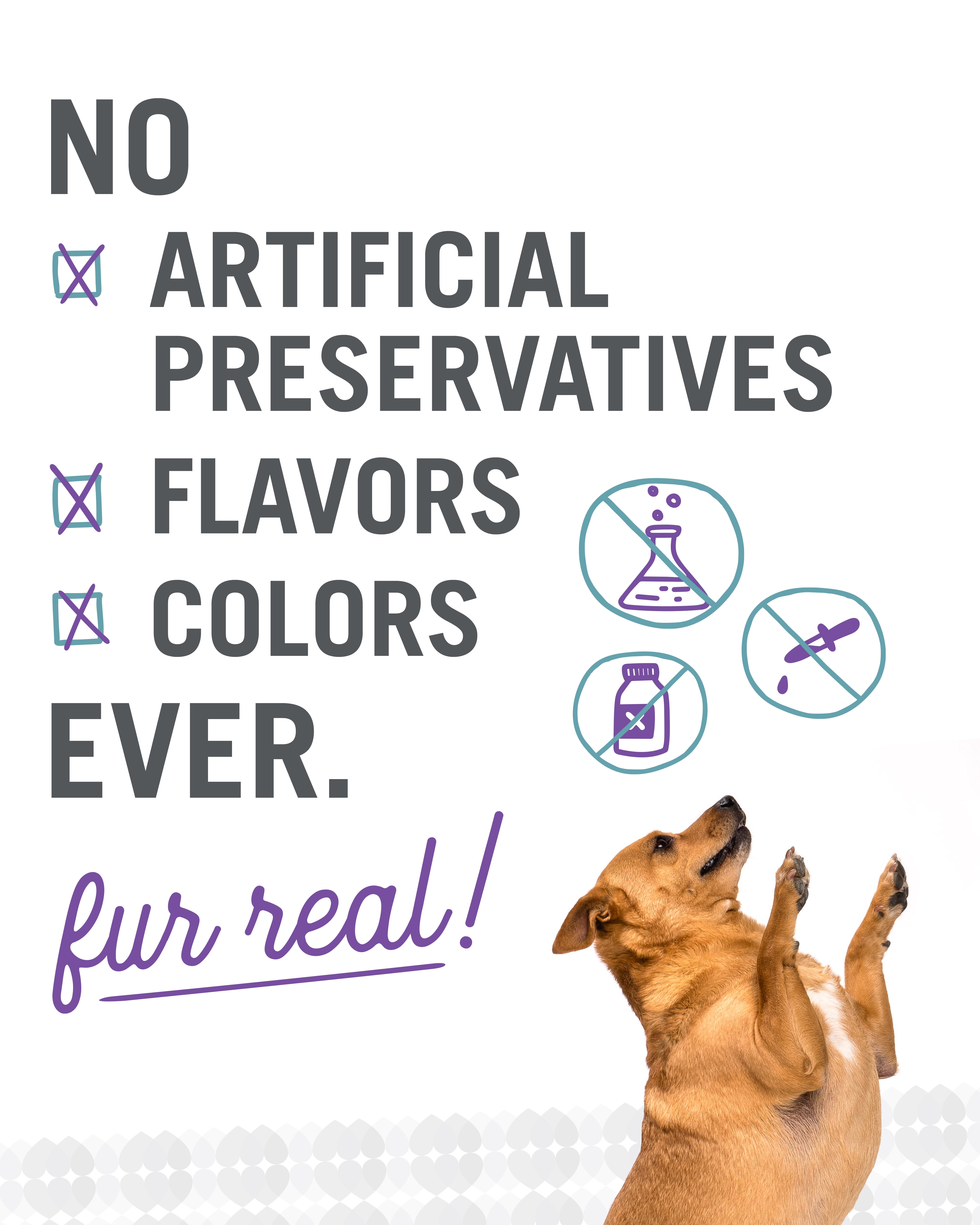 "I and love and you" Free Ranger Dog Chews, Beef Bully Stix, 3.5 Oz, 12 Inch
