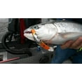 thumbnail image 2 of Pro-Cure Addicted Fishing Steelhead Blend Oil, 2 of 7
