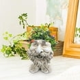 thumbnail image 3 of CAROOTU The Face Statue Planter Resin Funny Face Figurine Plant Pot Creative Art Spring Decorations Desktop Organizer, 3 of 5