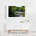thumbnail image 2 of Codorus Creek, Susquehanna Riverlands State Park - York Pennsylvania Photography Nature Scenic Woodland Summer Landscape Water White Framed Wall Art Print 5 x 7 inches, 2 of 3