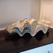 Giant 22 Clam Shell Tridacna Gigas Clamshell White and Gray Seashell