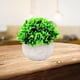 thumbnail image 3 of Mini plantas artificiales en maceta, pequeñas plantas de interior y exterior de nuestra tienda online. Beige b, 3 of 7