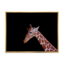 Designart 'Portrait of A Giraffe On Black Background I' Farmhouse Framed Canvas Wall Art Print