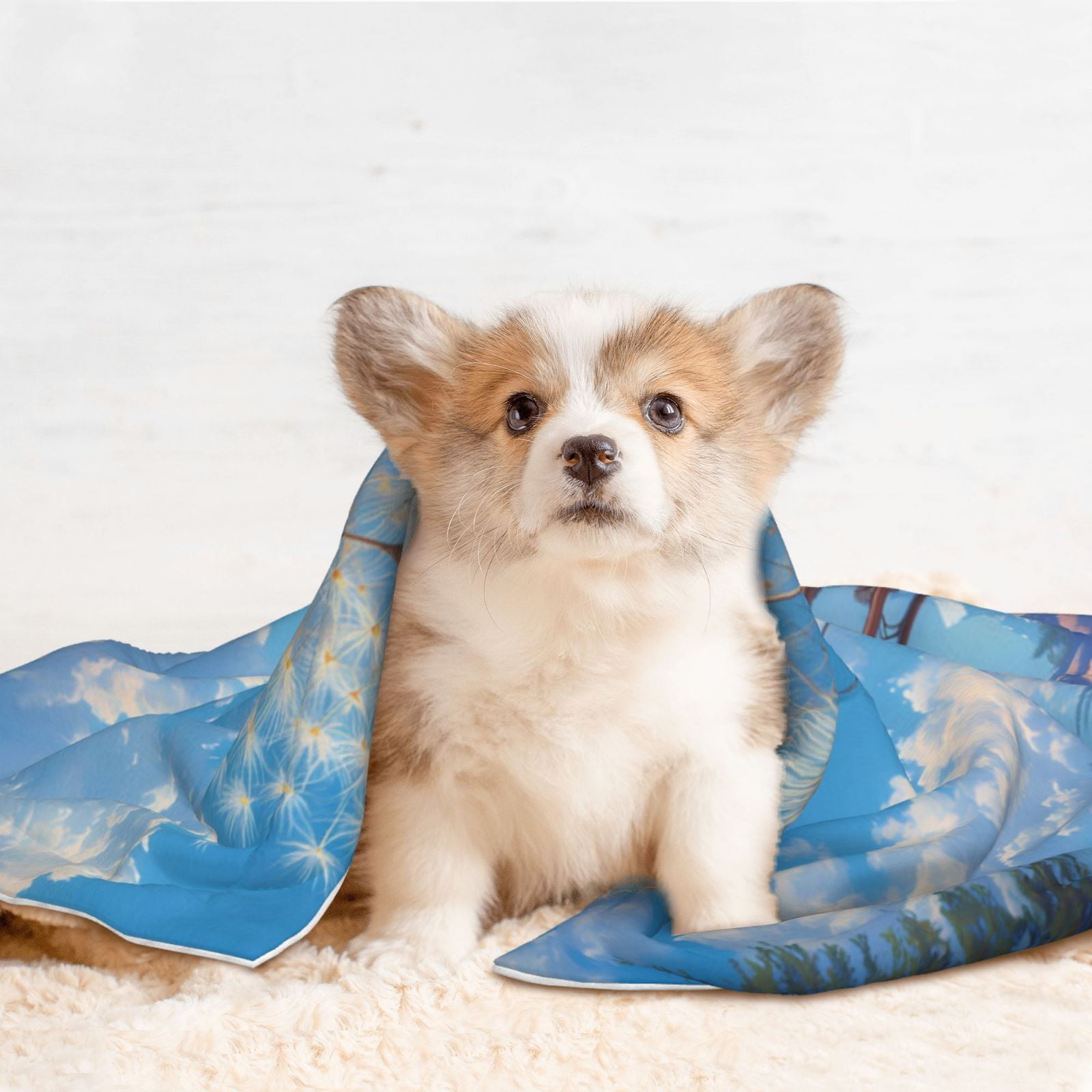 Naloa Dandelion Hot Air Balloon Dog Blanket, 3 Sizes Cat Blanket for Indoor Cats Large Medium Small Dog Gifts-