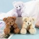 thumbnail image 3 of 10cm Long Hair Plush Doll With Chain Cute Kawaii Bear Animal Toy Small Pendant Doll Bag Key Pendant Doll Children Girl Toy Gifts, 3 of 5