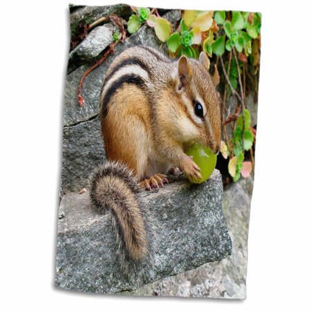 3dRose Chipmunk - Towel  15 by 22-inch