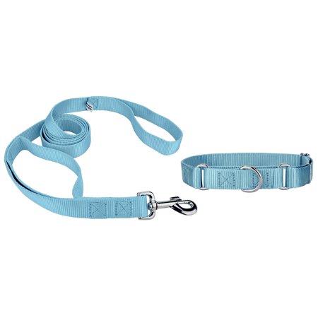 Country Brook Design® Martingale Heavyduty Nylon Dog Collar/Double Handle Leash