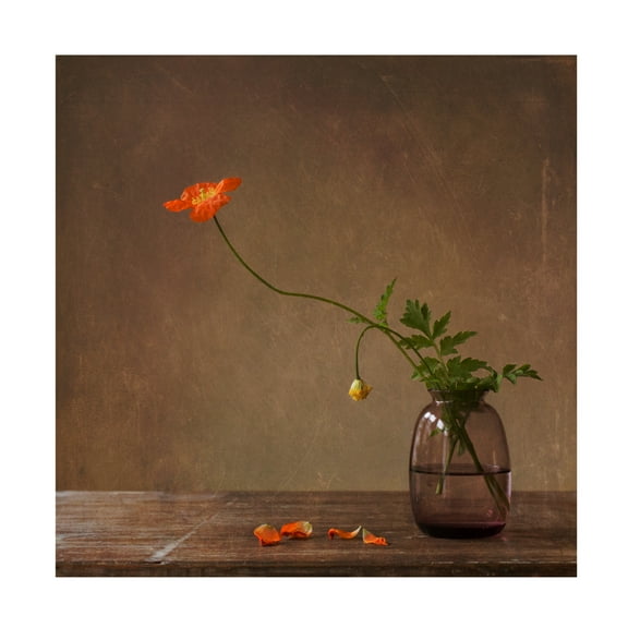 Canvas Wall Art - Galina Bunkova 'A Story With Orange Poppies' Wall Art for Living Room, Bedroom, or Office D?cor by Trademark Fine Art - 14 x 14 Inches